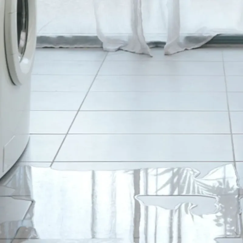 Appliance Leak Cleanup in Bartlett, TX