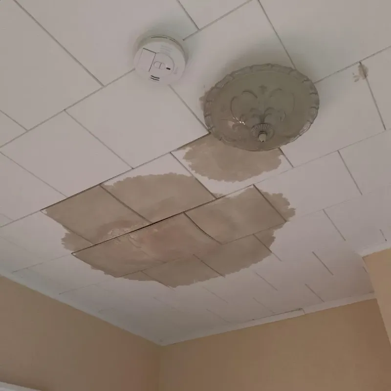 Ceiling Water Damage Repair in Bartlett, TX
