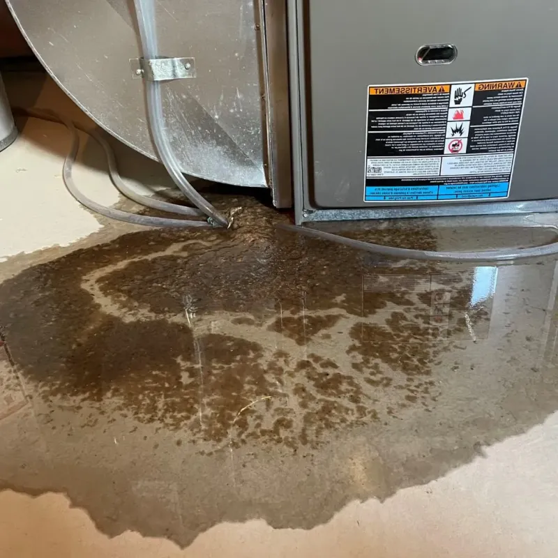 Pipe Burst and Leak Restoration in Bartlett, TX