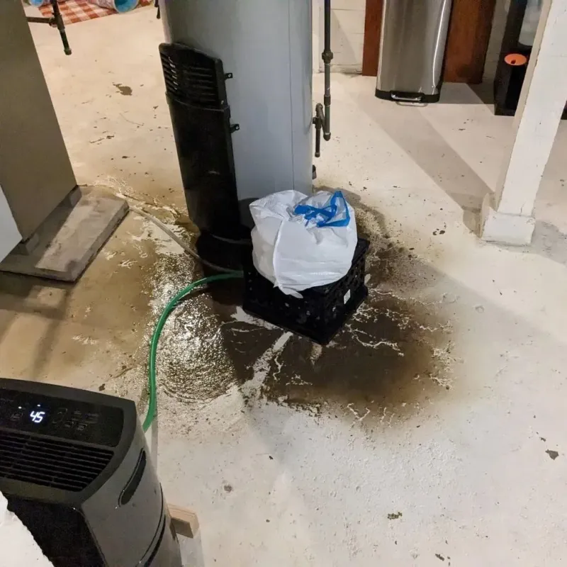Sewage Backup Cleanup Service in Bartlett, TX